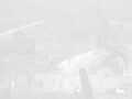 Thumbnail for version as of 17:17, 19 August 2026